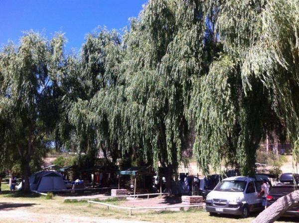 Foto del camping Las Palmas, Las Cabras, O'Higgins, chile