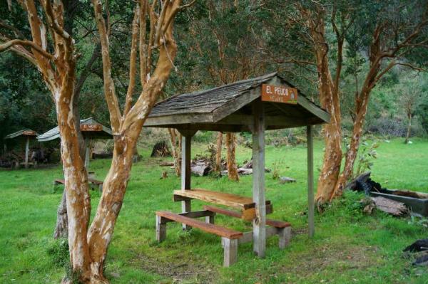 Foto del camping Turismo Rural El Canto del Chucao, Lago Ranco, Los Ríos, chile