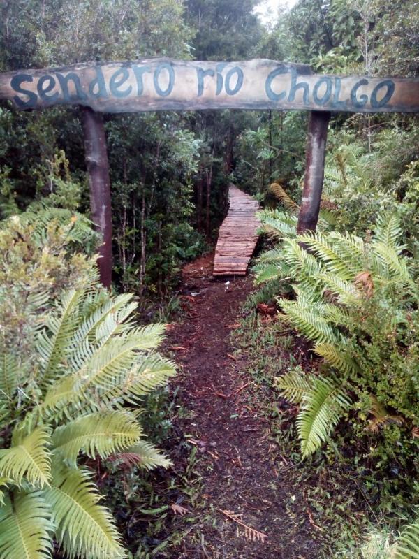 Foto del camping Turismo Fiordo Andino, Hualaihué, Los Lagos, chile