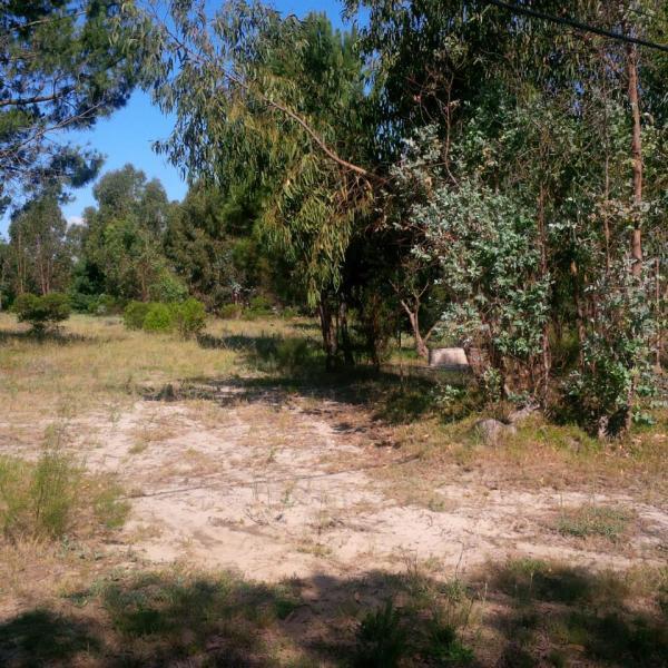 Foto del camping La Ponderosa, Atlántida, Canelones, uruguay