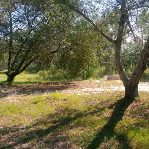 Foto del camping La Ponderosa, Atlántida, Canelones, uruguay